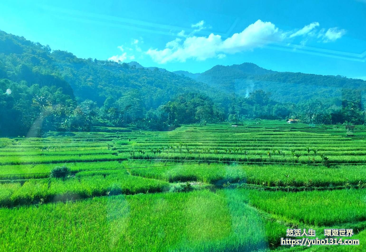 【2026印尼自由行】37天爪哇島到峇里島大縱走旅遊!5萬台幣全包行程攻略 - 第16張圖 印尼最美景觀列車 KA Argo Wilis外部風景實拍