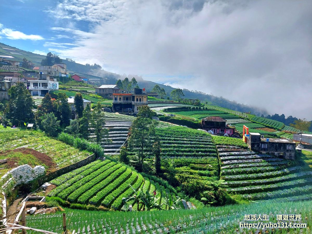 【印尼爪哇島秘境】印尼尼泊爾Nepal van Java:隱身松賓火山的絕美彩色山城交通自助攻略 - 第23張圖 【印尼爪哇島秘境】印尼尼泊爾Nepal van Java:隱身松賓火山的絕美彩色山城交通自助攻略