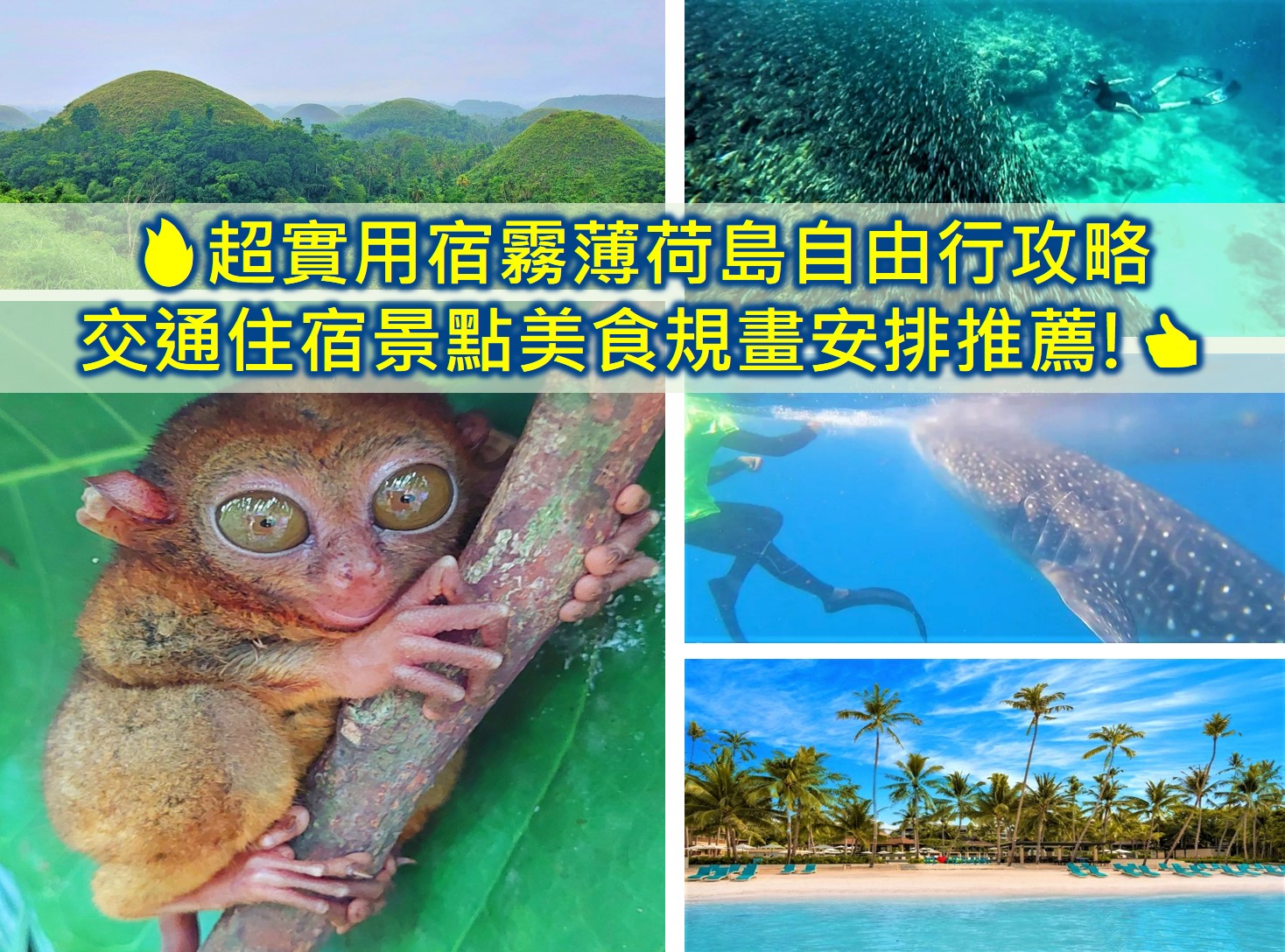 【2026菲律賓自由行攻略】免簽14天新制!5天4夜花費、選島交通住宿懶人包 - 第3張圖 宿霧自由行 薄荷島自由行 宿霧薄荷島自由行